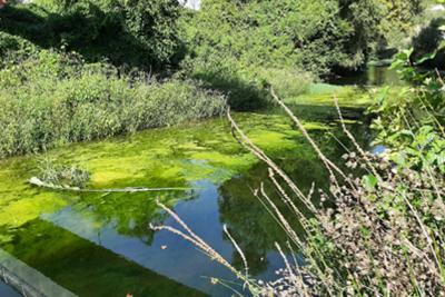 Agrandir l'image 4 sur 5, fenêtre modale