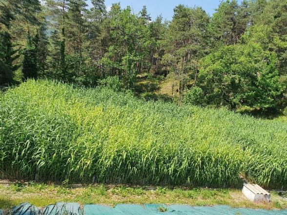 Agrandir l'image, fenêtre modale